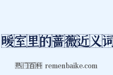暖室里的蔷薇近义词是什么意思的图片